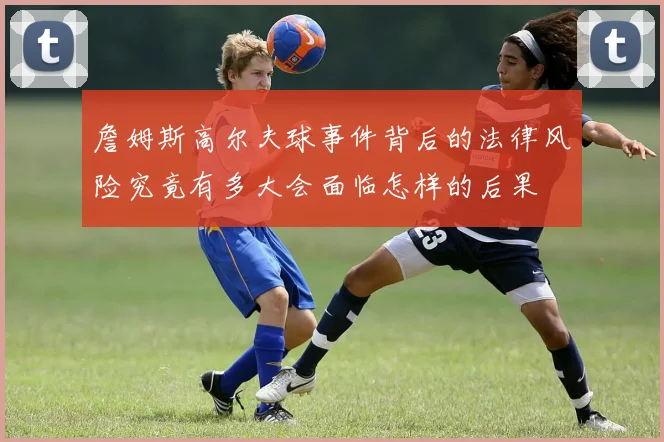 詹姆斯高尔夫球事件背后的法律风险究竟有多大会面临怎样的后果
